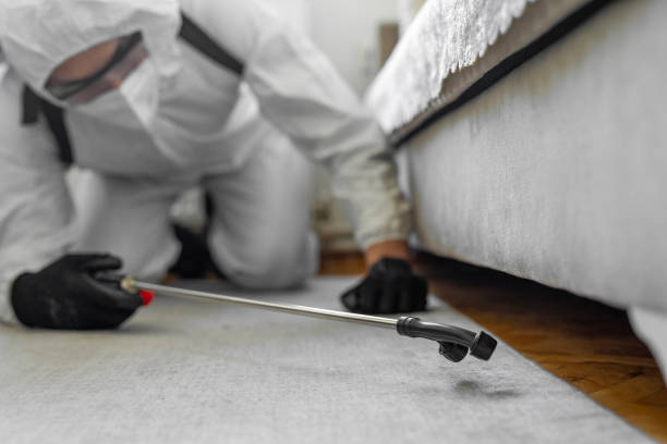 Professional Cockroach Control technician working in Fairplains, NC