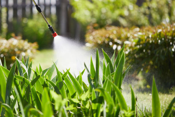 24/7 Emergency Cockroach Control experts in Fairplains, NC