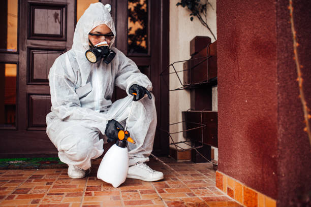 Reliable Cockroach Control contractor in Fairplains, NC by Nex Pest Control